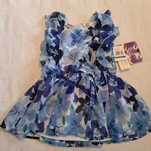 Blueberi Boulevard girls size 2T blue and white floral dress, lined New